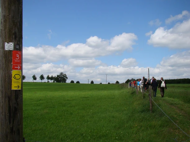 DSC03677_01.jfif Eine Gruppe von Wanderern spaziert auf einem Feldweg neben einer grünen Weide unter bewölkter Sonne.