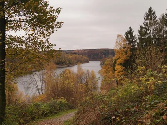 Wuppertalsperre Herbstlicher Waldweg am Ostufer eines Flusses mit leuchtend gelben und orangen Bäumen.