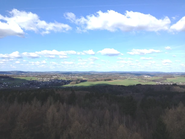 Blick vom Aussichtsturm Panoramablick über eine weitläufige Landschaft mit Wäldern, Wiesen und einer fernen Stadt unter blauem Himmel.