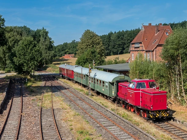 Heide-Express Rote Diesellok zieht grüne und rote Waggons auf Schienen vorbei an Backsteinhaus und grünen Bäumen.