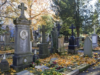 Der Alte Friedhof im Winter Alter_Friedhof im November 2015