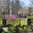 Der Alte Friedhof Der Alte Friedhof
