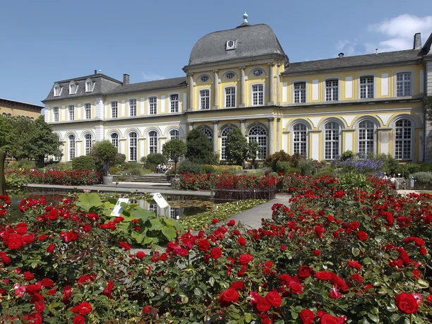 Poppelsdorfer Schlosses Das Poppelsdorfer Schlosses, einst als Clemensruhe