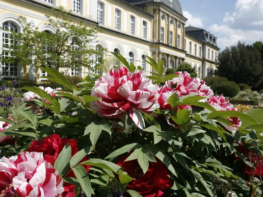 Poppelsdorfer Schloss Grundform des Poppelsdorfer Schlosses