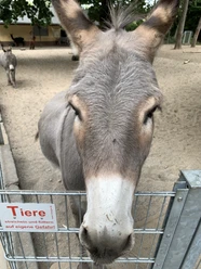 Willkommen in der Fauna Solingen! Willkommen in der Fauna Solingen!
