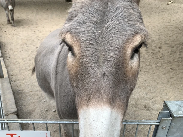 Willkommen in der Fauna Solingen! Willkommen in der Fauna Solingen!