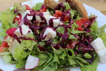 Salat Ein frischer, bunter Salat mit Feta-Würfeln, Radieschen, Tomaten und rotem Dressing auf einem weißen Teller.