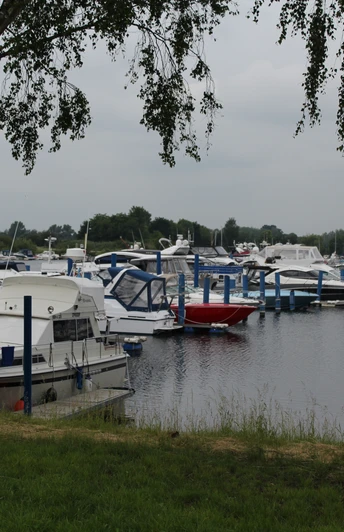 Boote liegen vertäut an Stegen eines ruhigen Sees, umrahmt von grünen Bäumen und bewölktem Himmel.