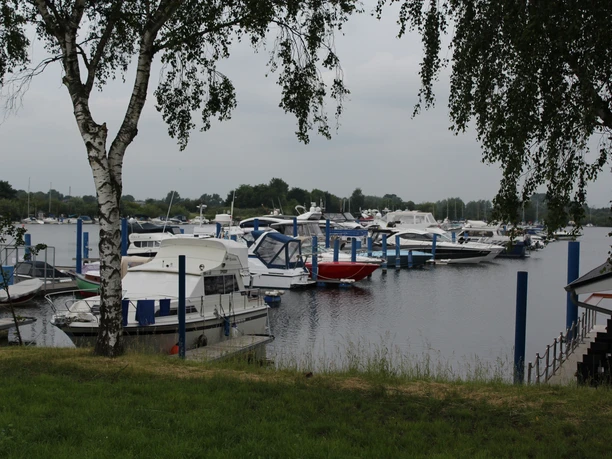 Wieltsee Boote liegen vertäut an Stegen eines ruhigen Sees, umrahmt von grünen Bäumen und bewölktem Himmel.