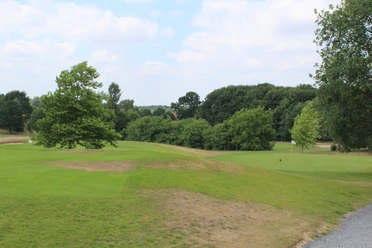 Green golf course with undulating terrain, scattered trees and dense forest edges under a blue sky.
