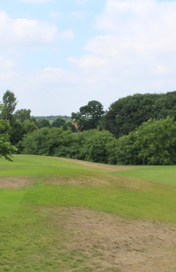 Grüner Golfplatz mit welligem Gelände, vereinzelten Bäumen und dichten Waldrändern unter blauem Himmel.