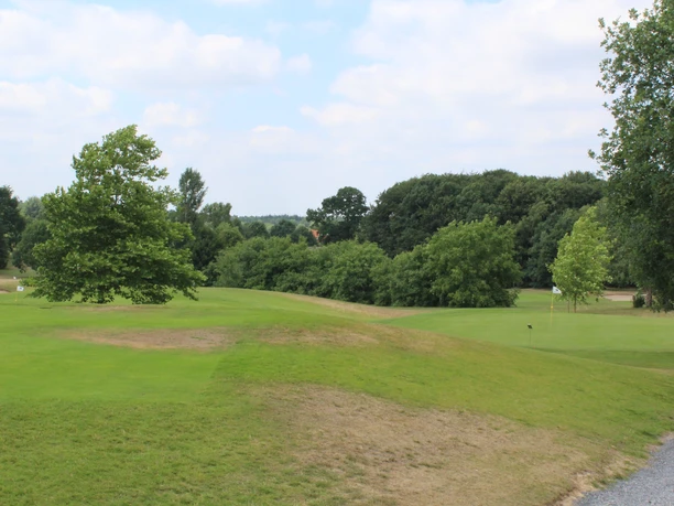 Groene golfbaan met golvend terrein, verspreide bomen en dichte bosranden onder een blauwe hemel.