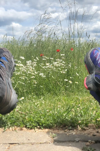 Wandern an der Weser Wandern an der Weser