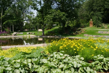 Kurpark in Reichshof-Eckenhagen Grüne Parklandschaft mit Teich, gelben Blumen und Bäumen; friedliche Atmosphäre an einem Sommertag.