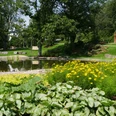 Kurpark in Reichshof-Eckenhagen Grüne Parklandschaft mit Teich, gelben Blumen und Bäumen; friedliche Atmosphäre an einem Sommertag.