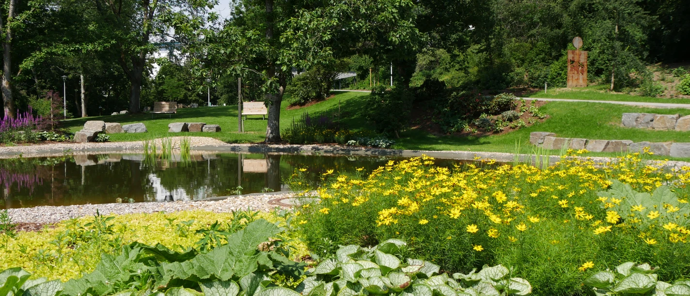 Kurpark in Reichshof-Eckenhagen Grüne Parklandschaft mit Teich, gelben Blumen und Bäumen; friedliche Atmosphäre an einem Sommertag.