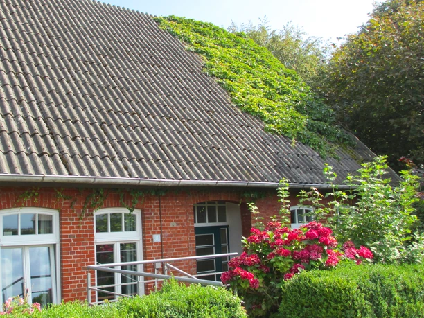 Peters Hof Alfstedt