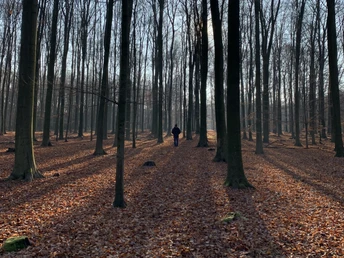 Ohligser Heide im Winter