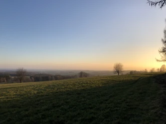 Ausblick Heckhaus Weite, grüne Wiese bei Sonnenuntergang mit sanftem, hellem Himmel und vereinzelten Bäumen am Horizont.