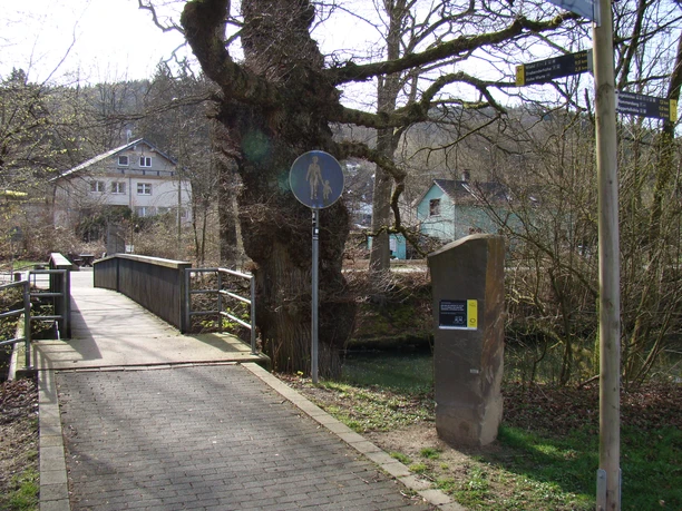 DSC02405.JPG Ein schattiger Weg führt über eine idyllische Brücke, flankiert von Bäumen, zu Häusern im Hintergrund.
