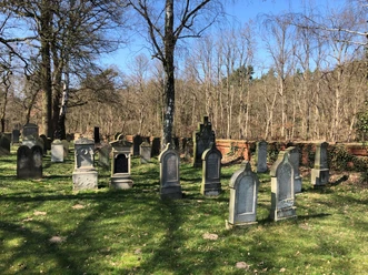 Grabsteine aus verschiedenen Epochen auf dem Jüdischen Friedhof Liebenau inmitten lichter Wälder.