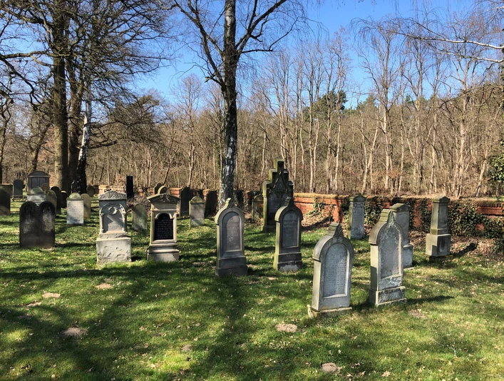 Grabsteine aus verschiedenen Epochen auf dem Jüdischen Friedhof Liebenau inmitten lichter Wälder.