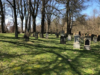 Jüdischer Friedhof Liebenau Grüne Wiese mit alten, verwitterten Grabsteinen inmitten hoher, blattloser Bäume bei sonnigem Himmel.