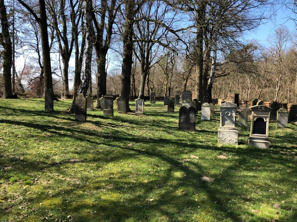 Jüdischer Friedhof Liebenau Grüne Wiese mit alten, verwitterten Grabsteinen inmitten hoher, blattloser Bäume bei sonnigem Himmel.