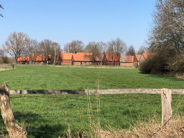 Rote Ziegeldächer alter Scheunen, umgeben von Bäumen und einem grünen Feld unter blauem Himmel.