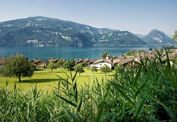 leissigen-dorf_sommer-thunersee.jpg