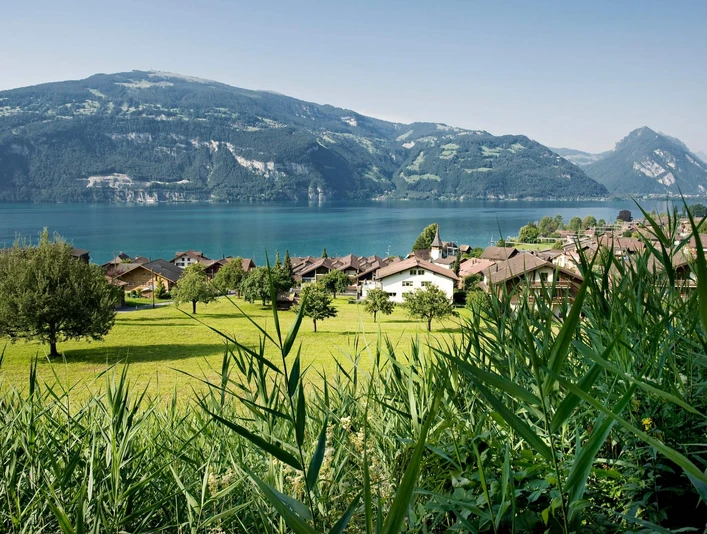 leissigen-dorf_sommer-thunersee.jpg
