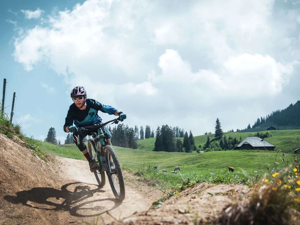 Downhillbiker auf Biketrail, der über eine Alp führt