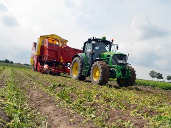 Gaus-Luetje 1.jpg Traktor Kartoffelfeld