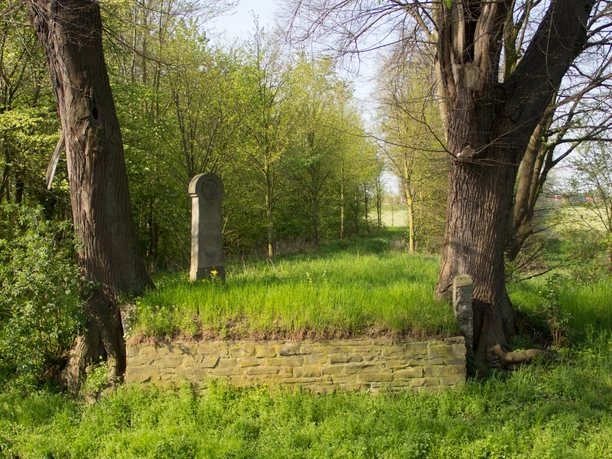 Historischer Swistübergang 2018 Frühling Swistal