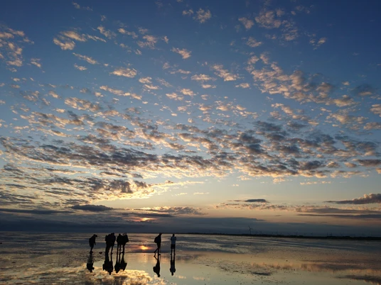 Wattwanderung mit Nationalpark-Haus