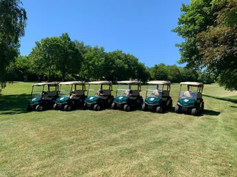 Sechs elektrische Golfcarts stehen in Reihe auf einer grünen Wiese, umgeben von Bäumen.