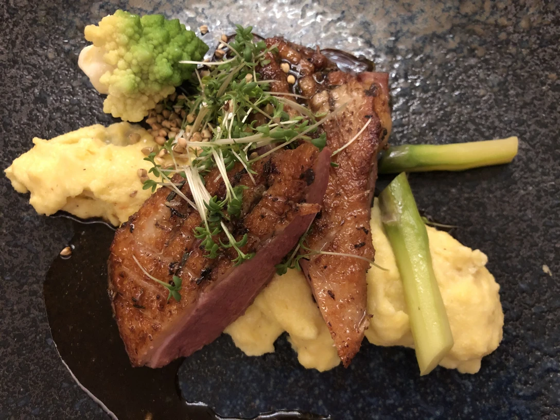 Fleischgericht Gegrilltes Entenfilet liegt auf cremigem Kartoffelpüree, garniert mit Brokkoli und frischen Kräutern.Grilled duck fillet on creamy mashed potatoes, garnished with broccoli and fresh herbs.Grillet andefilet på cremet kartoffelmos, pyntet med broccoli og friske krydderurter.Gegrilde eendenfilet op romige aardappelpuree, gegarneerd met broccoli en verse kruiden.