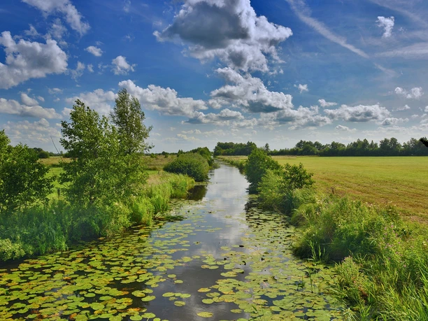 Wasser und Weite in Aurich Wasser und Weite in Aurich