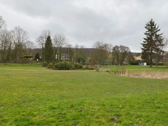 Eine grüne Wiese und Teiche umgeben von Bäumen und Sträuchern, mit Spazierpfaden und entfernter Bebauung.