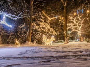 Lichterzauber im Schnee, Wallanlage Lichterzauber im Schnee, WallanlageMagic lights in the snow, rampartsMagiske lys i sneen, voldeMagische lichtjes in de sneeuw, wallen