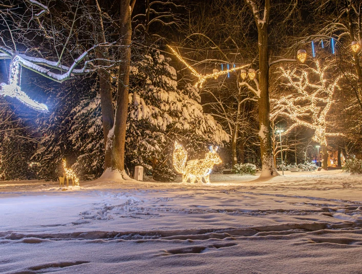 Lichterzauber im Schnee, Wallanlage Lichterzauber im Schnee, WallanlageMagic lights in the snow, rampartsMagiske lys i sneen, voldeMagische lichtjes in de sneeuw, wallen