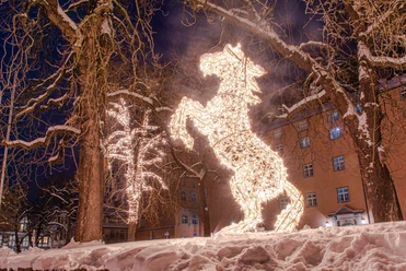 Lichterzauber im Schnee, Pferd Lichterzauber im Schnee, Pferd