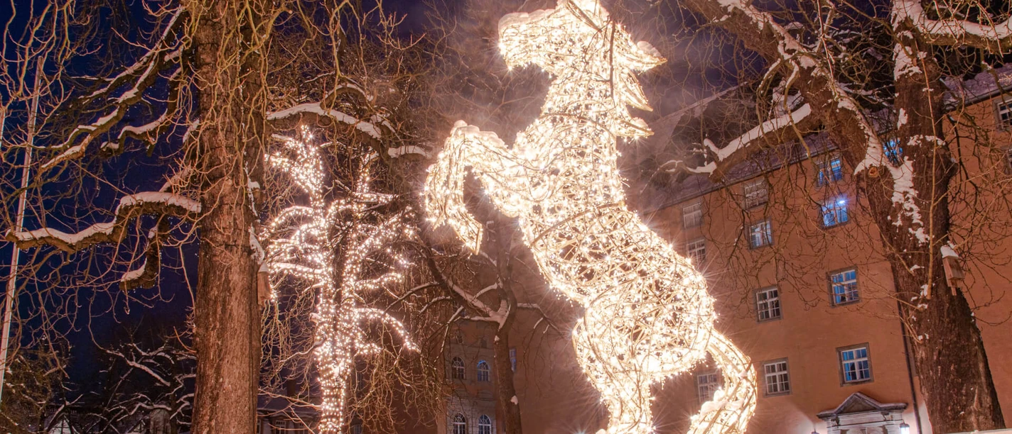 Lichterzauber im Schnee, Pferd Lichterzauber im Schnee, Pferd