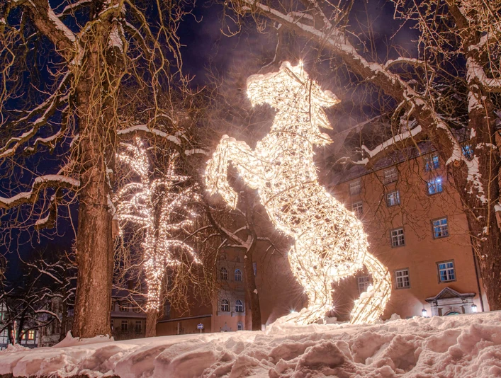 Lichterzauber im Schnee, Pferd Lichterzauber im Schnee, PferdMagic lights in the snow, horseMagiske lys i sneen, hestMagische lichtjes in de sneeuw, paard
