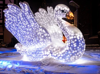 Lichterzauber im Schnee, Schwan Lichterzauber im Schnee, SchwanMagic lights in the snow, SwanMagiske lys i sneen, svaneMagische lichtjes in de sneeuw, zwaan