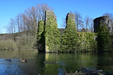 Burgruine Eibach Ruinen eines mit Efeu bewachsenen Gebäudes am See mit schwimmenden Enten und kahlen Bäumen im Hintergrund.