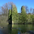 Burgruine Eibach Ruinen eines mit Efeu bewachsenen Gebäudes am See mit schwimmenden Enten und kahlen Bäumen im Hintergrund.