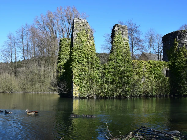 Burgruine Eibach Ruinen eines mit Efeu bewachsenen Gebäudes am See mit schwimmenden Enten und kahlen Bäumen im Hintergrund.