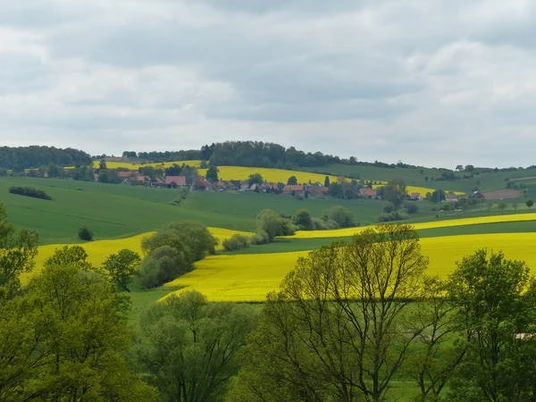 blick-auf-bartshausen