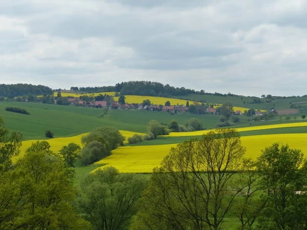 Blick auf Bartshausen blick-auf-bartshausen